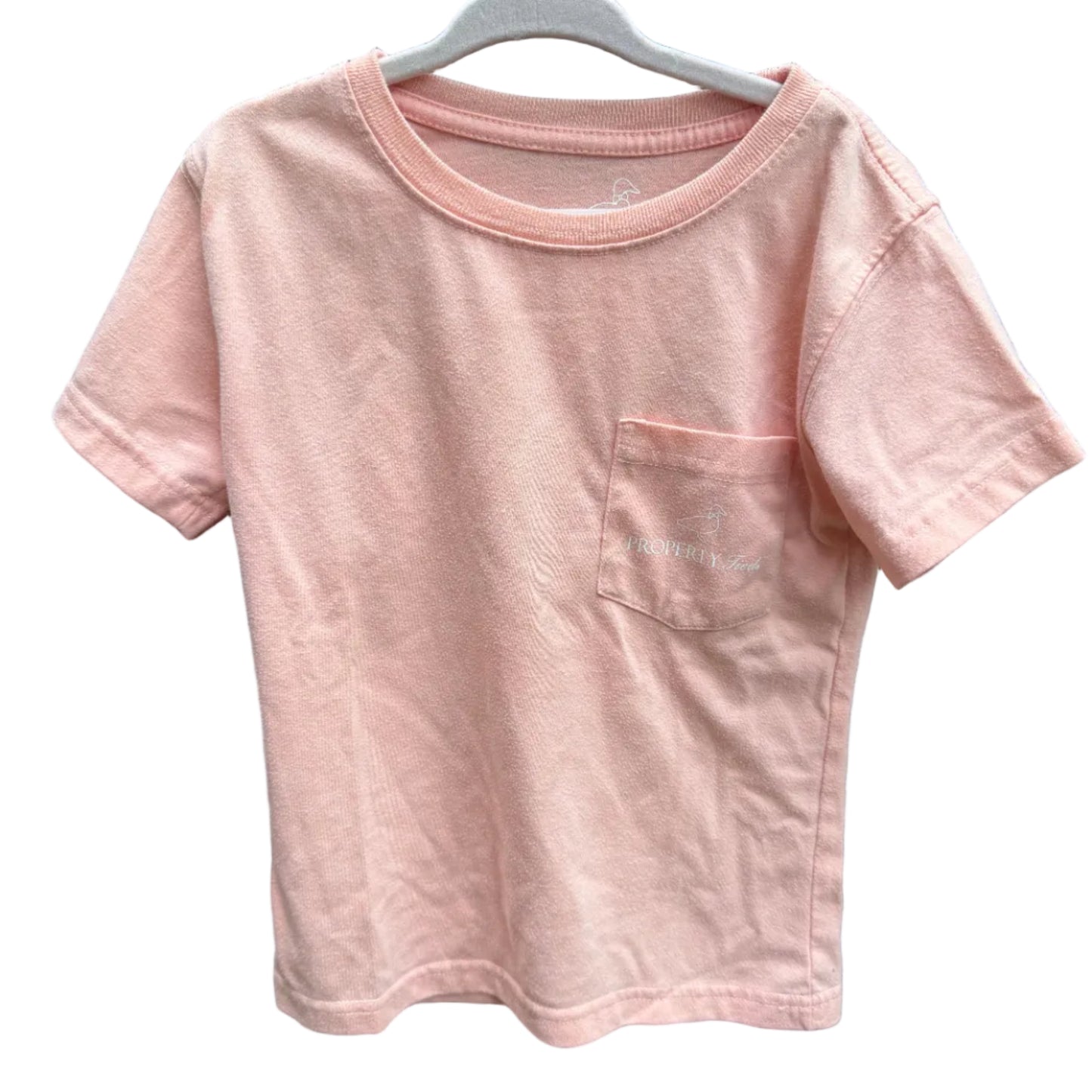 A light pink short-sleeve crewneck t-shirt with a chest pocket, hanging on a white plastic hanger against a brown brick wall.