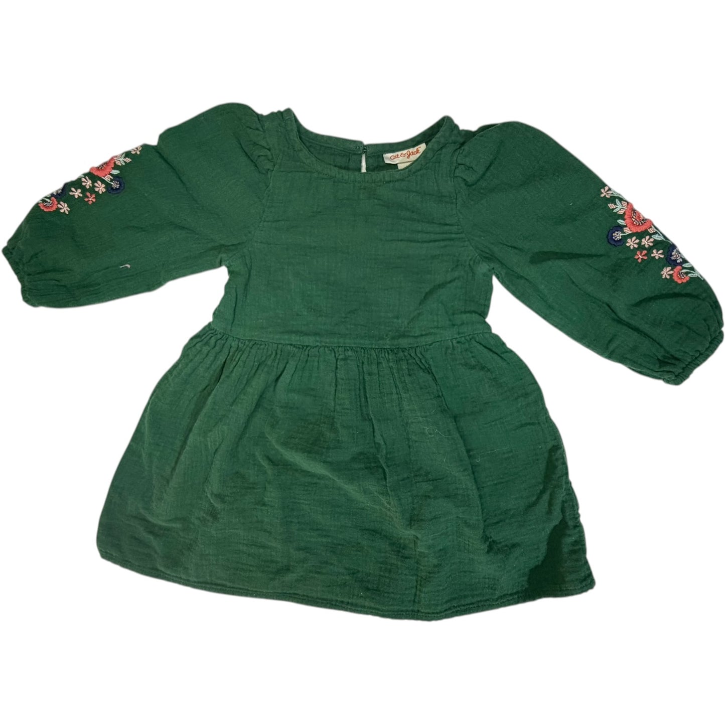 Cat & Jack Green Floral Long-Sleeve Dress size 2T excellent used condition