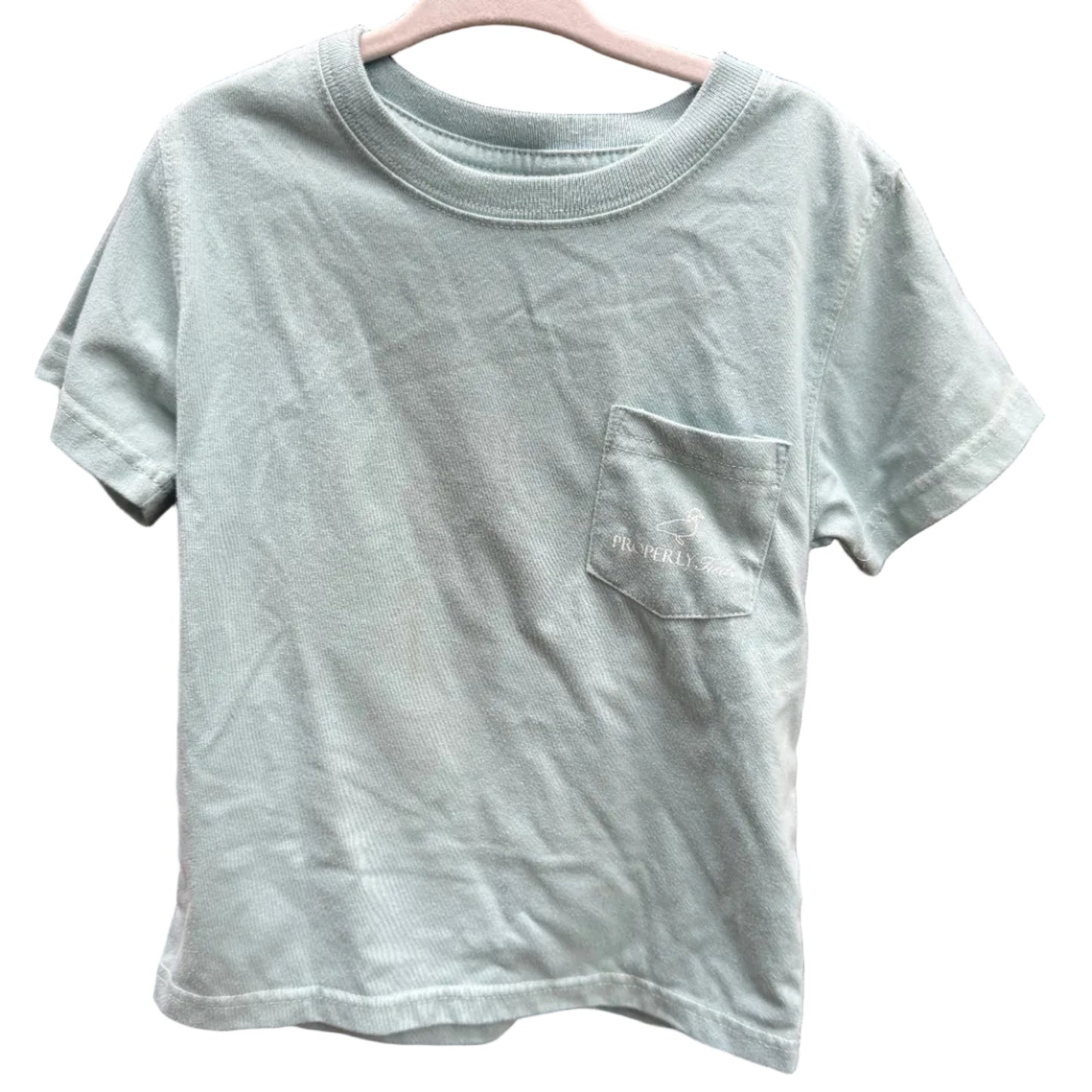 A light sage green short-sleeve crewneck t-shirt with a left chest pocket, hanging on a pink wooden hanger against a red brick wall background.