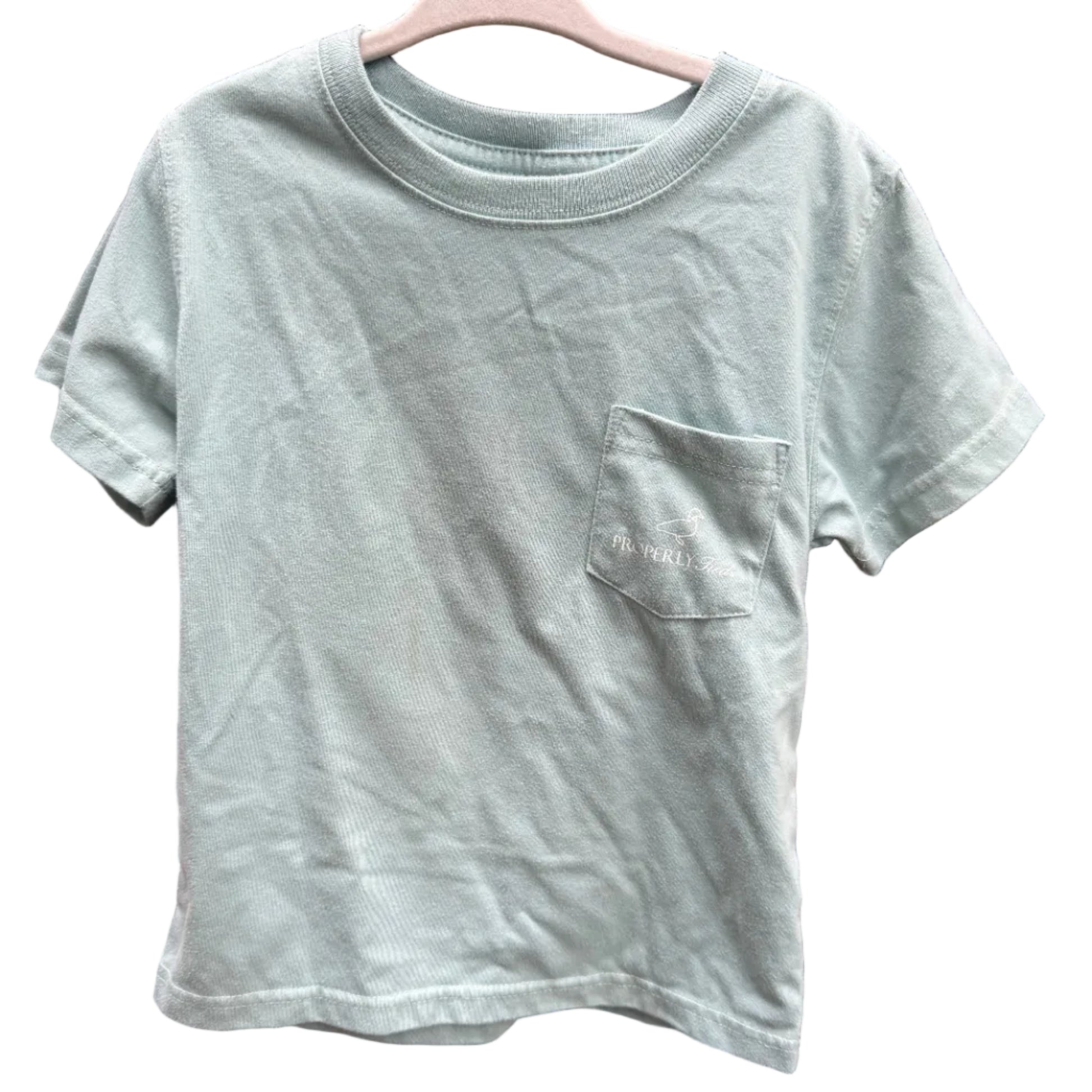 A light sage green short-sleeve crewneck t-shirt with a left chest pocket, hanging on a pink wooden hanger against a red brick wall background.