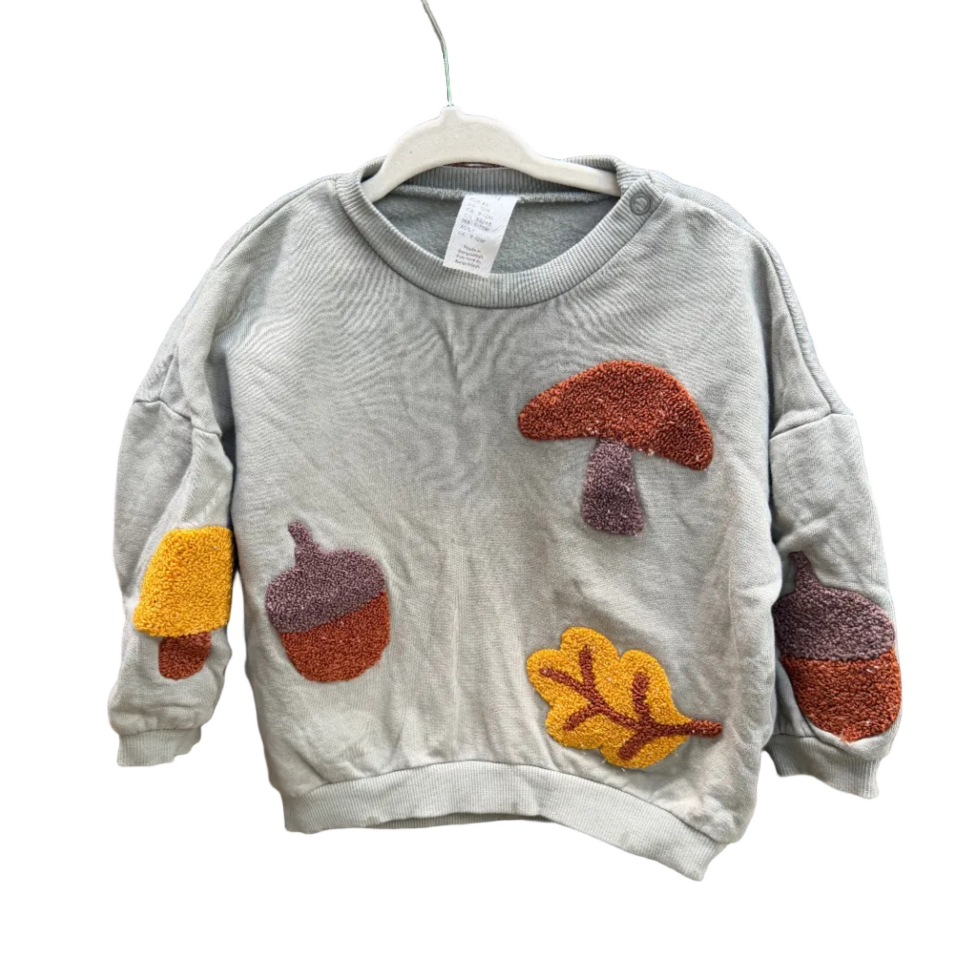 12M H&M Nature Fall Sweatshirt EUC